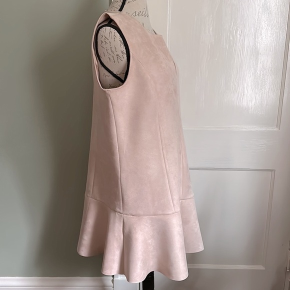 Bcbgmaxazria Adelene Bare Pink Micro Suede Shift Dress - Picture 4 of 15